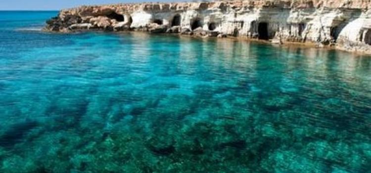 Coralbay3