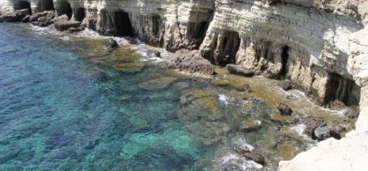 Coralbay4