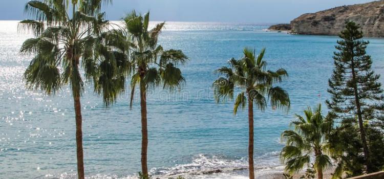 Pissouri Bay Beach Palm Stock Photo Image Of Island 47336350